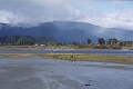 The Estuary of the Orowaiti River (2)