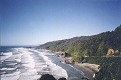 Irimahuwhero in the Paparoa National Park